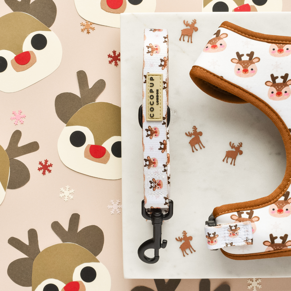 Christmas Mystery Lead