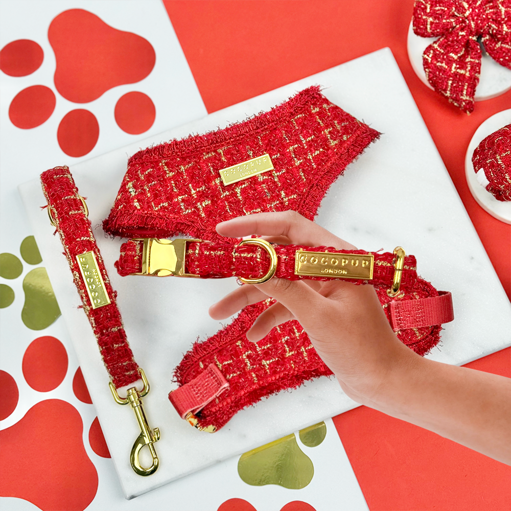 Red Textured Tweed Adjustable Neck Harness, Lead & Collar Bundle