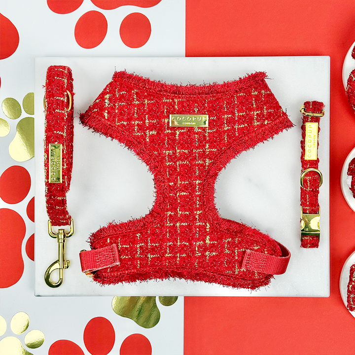 Red Textured Tweed Adjustable Neck Harness, Lead & Collar Bundle