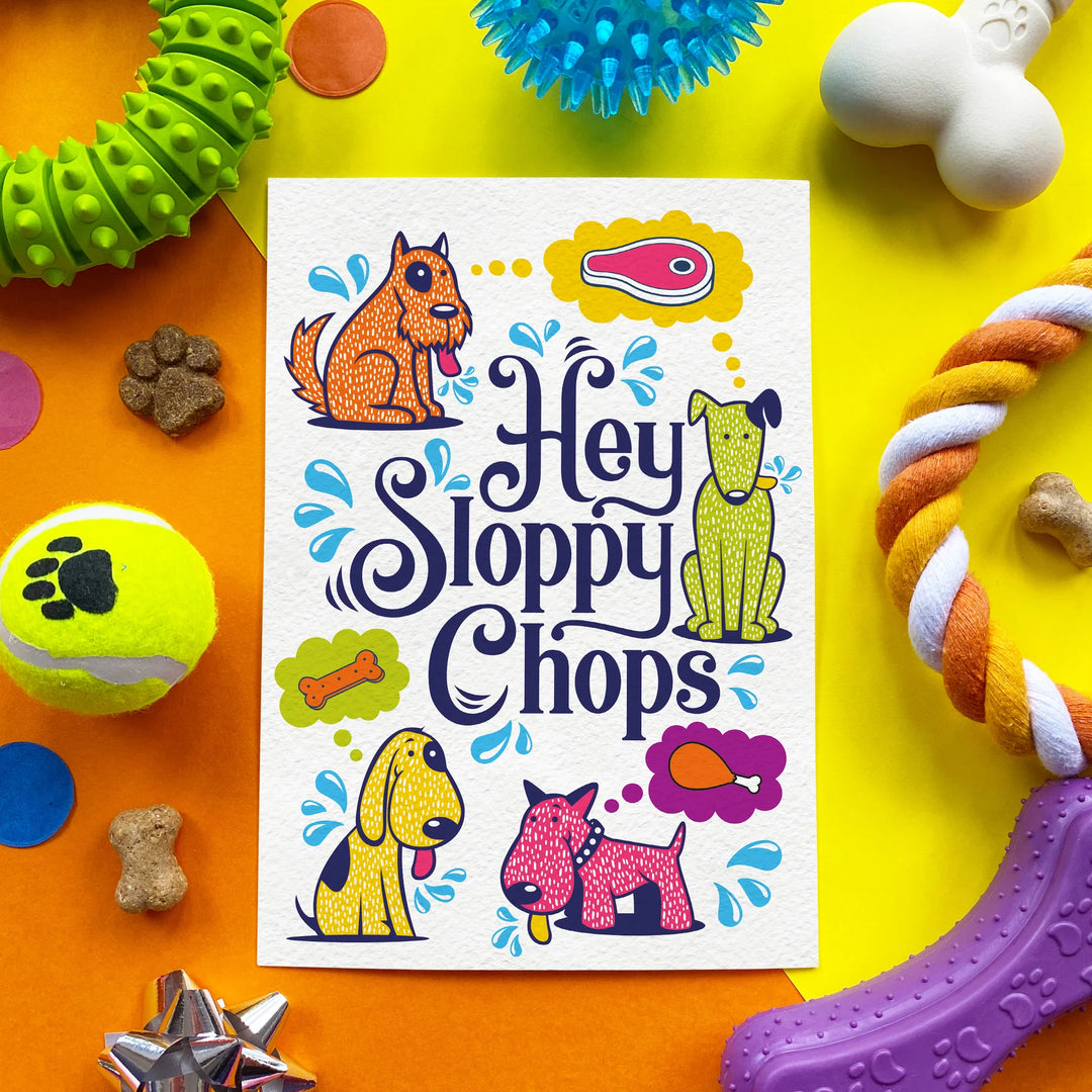 Scoff Paper - Hey Sloppy Chops