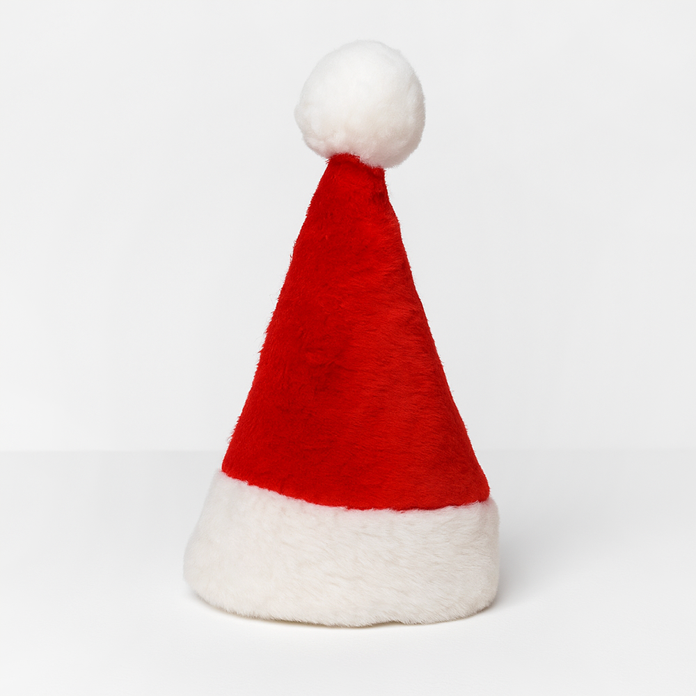 Christmas Santa Dog Hat