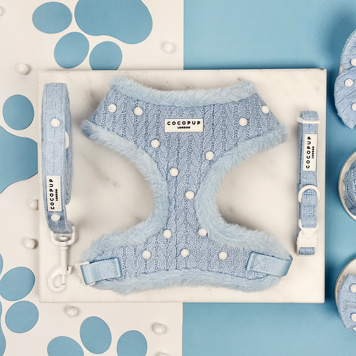 Snowpaws Adjustable Neck Harness, Lead & Collar Bundle