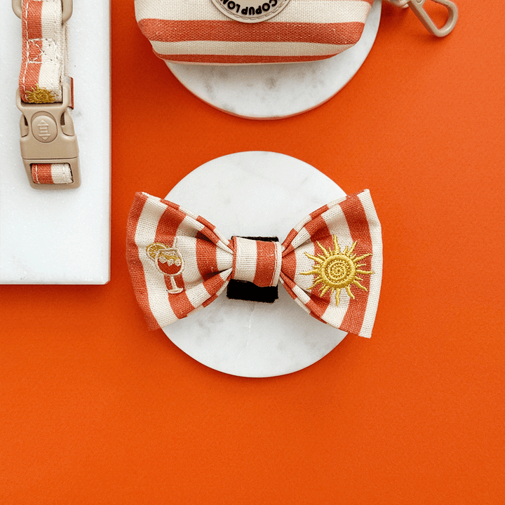 Sunshine & Spritz Bow Tie