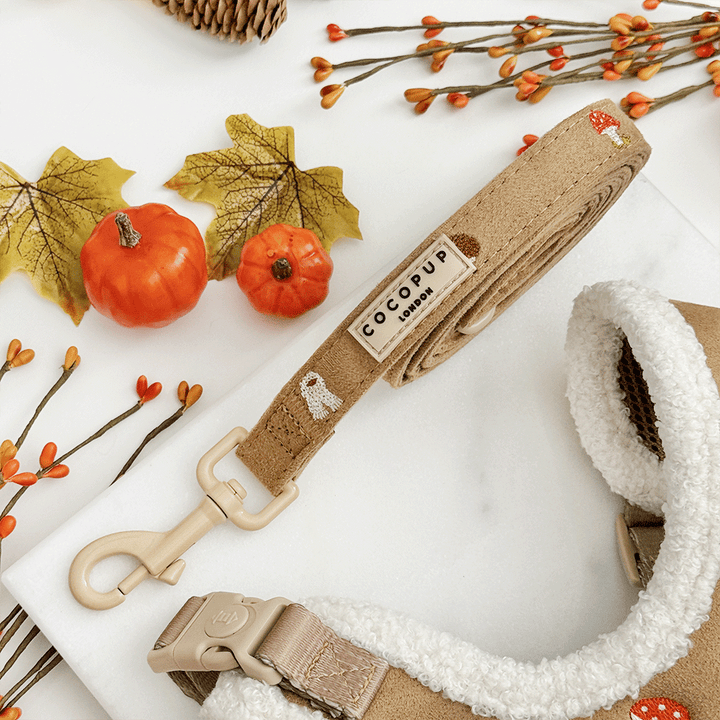 Brown dog lead, with autumnal-themed embroidery of pumpkins, leaves, a coffee cup, and mushrooms.