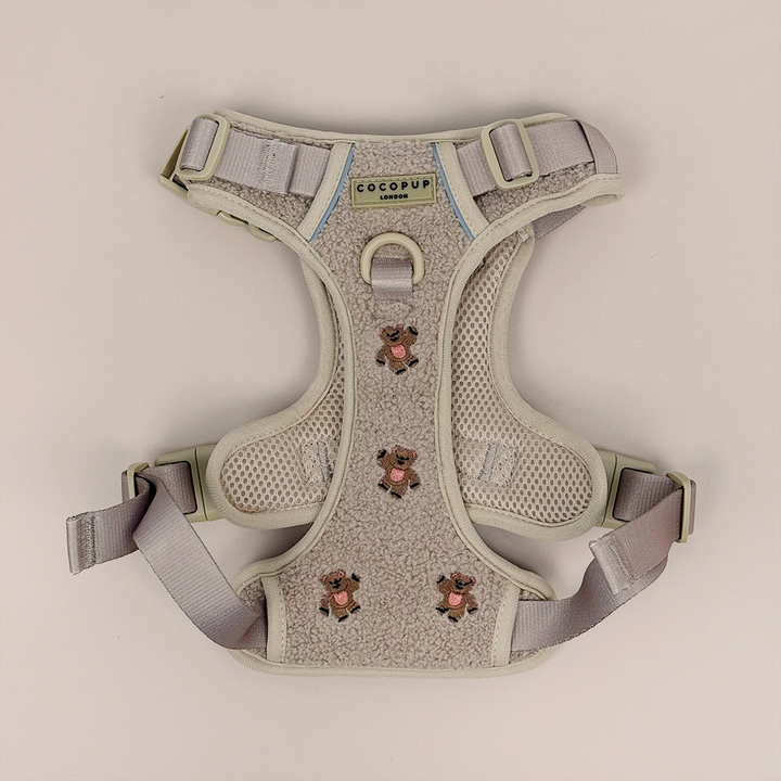 Explore Harness - Theo Embroidered Teddy