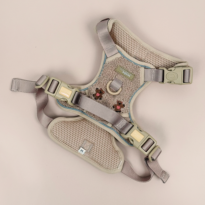 Explore Harness - Theo Embroidered Teddy