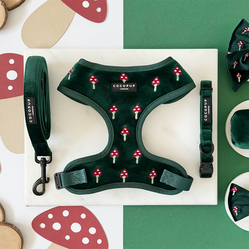 Toadstool Trails Adjustable Neck Harness, Lead & Collar Bundle