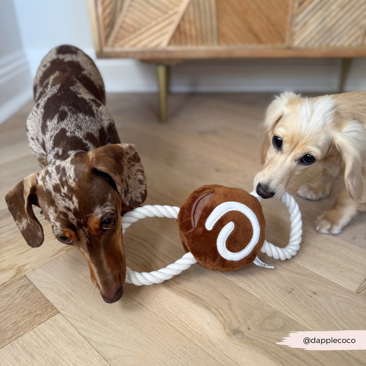 Cinnamon Bun Dog Toy