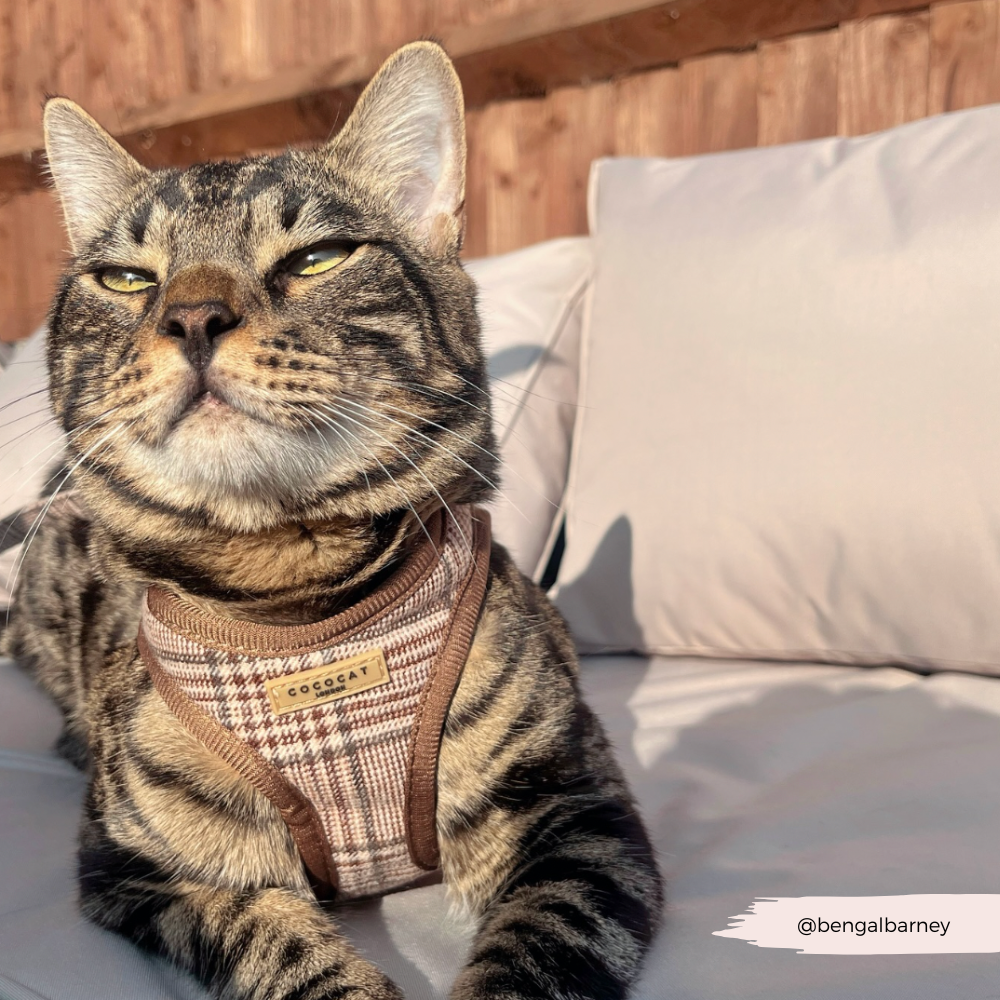 Cat Harness - Plaid