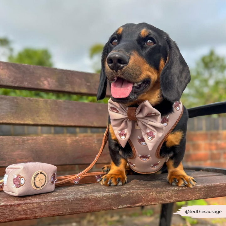 Harold the Highland Cow Sailor Bow Tie