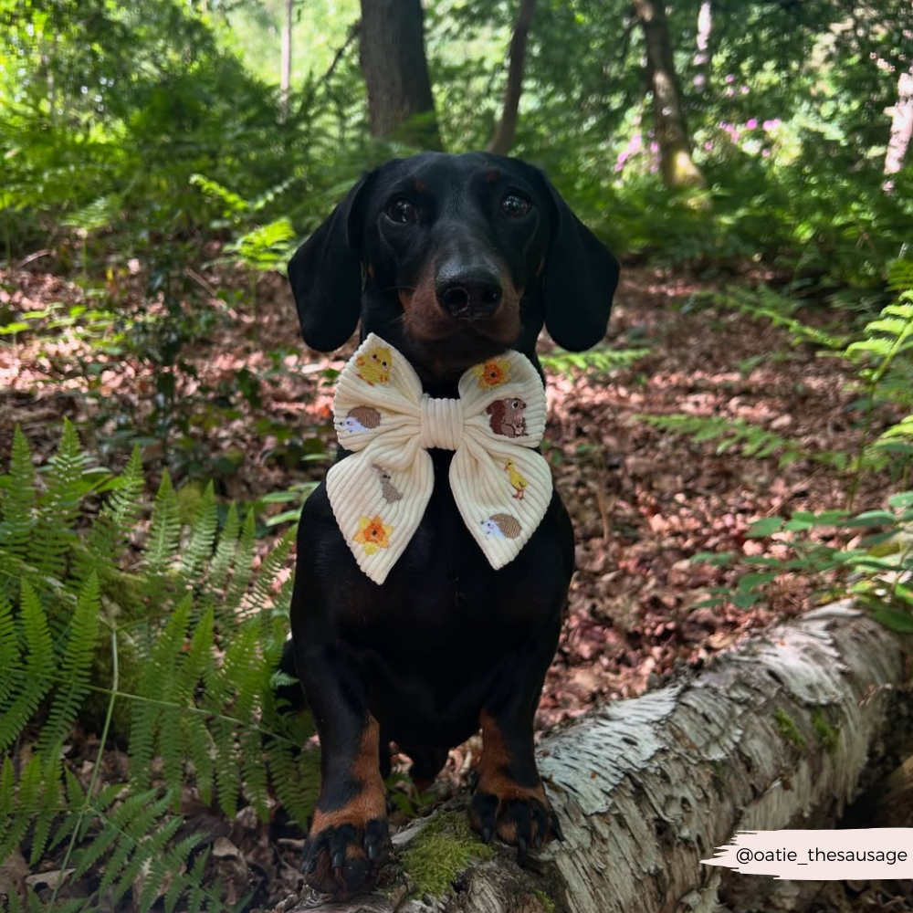 Embroidered Woodland Walkies Sailor Bow Tie