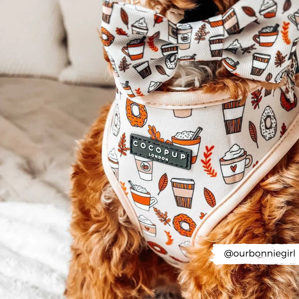 A dog wearing an adjustable neck harness and bow tie from the Autumn Puppuccino bundle, featuring a fall-themed pattern with coffee cups, leaves, and donuts. The harness bears the label "Cocopup London." A tag with the text "@ourbonniegirl" is seen in the bottom right corner of the image. Perfect for showcasing autumn style!