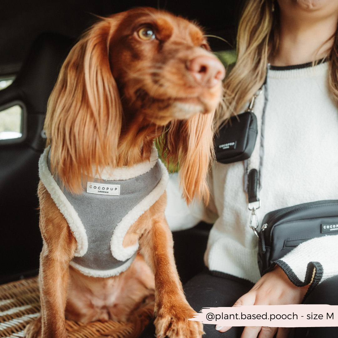 Grey Aviator Adjustable Neck Harness