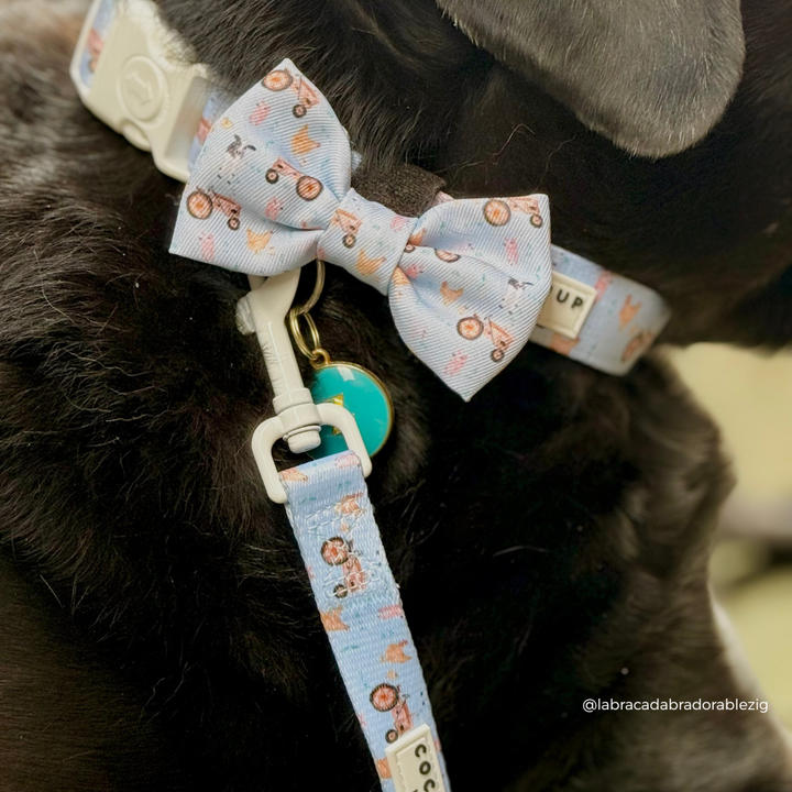 Barnyard Buddies Bow Tie