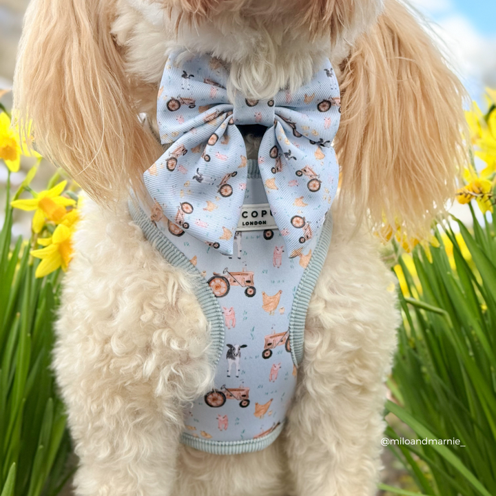 Barnyard Buddies Sailor Bow Tie