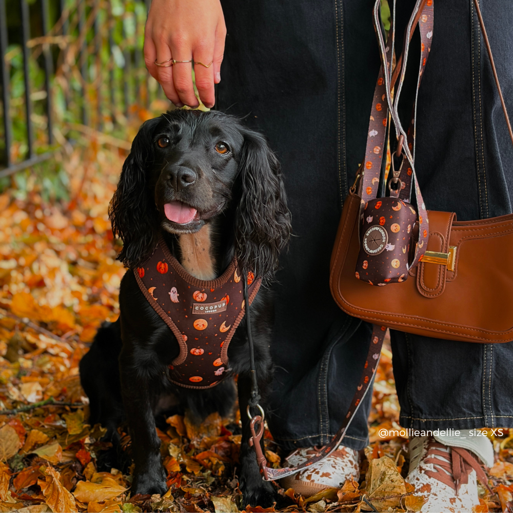 A black dog wearing a brown Halloween-themed harness sits on a leaf-covered ground next to a person holding its head and carrying a matching brown crossbody bag with orange and black pumpkin patterns.