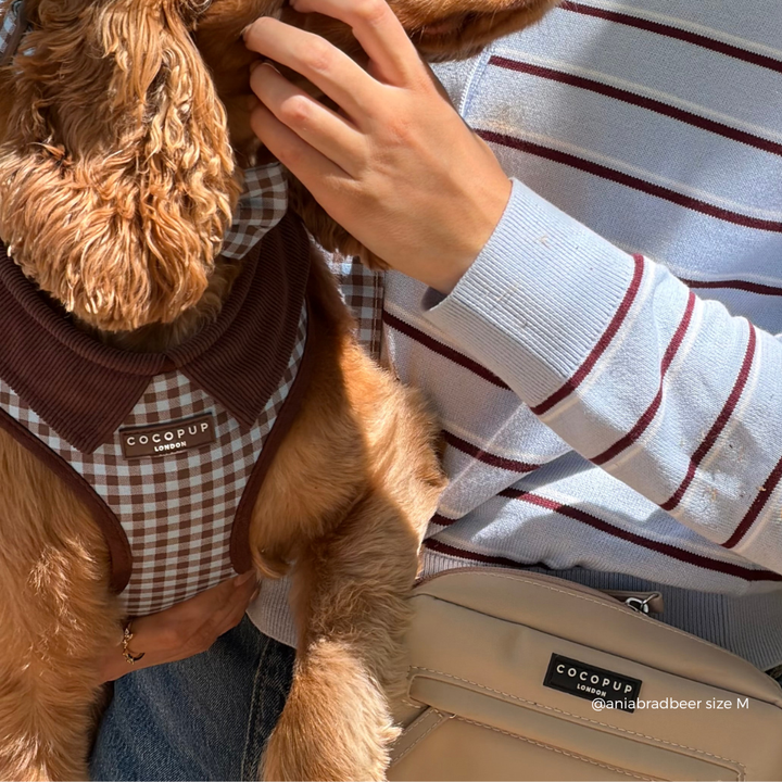 A close-up lifestyle shot of a person holding a small golden dog wearing a COCOUP London dog harness. The harness features a brown and blue gingham pattern with a solid dark brown ribbed collar.