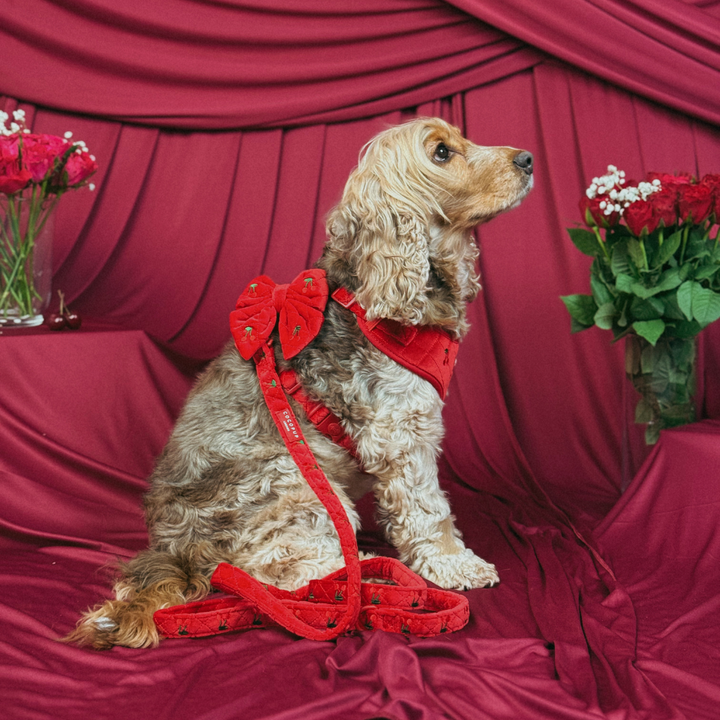 Cherry Velvet Crush Sailor Bow Tie