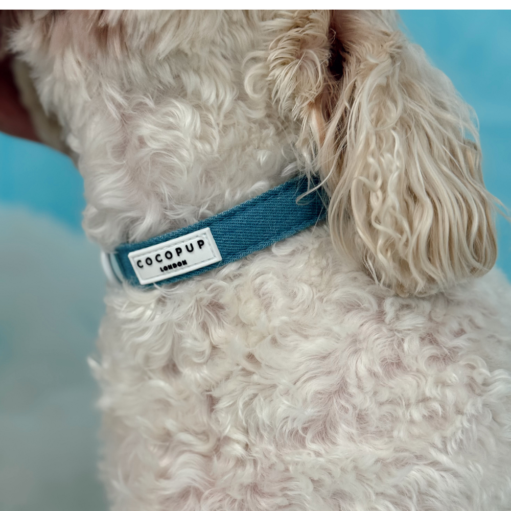 Cloud Nine Adjustable Neck Harness, Lead & Collar Bundle