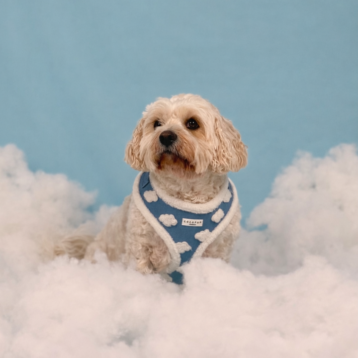 Cloud Nine Adjustable Neck HARNESS