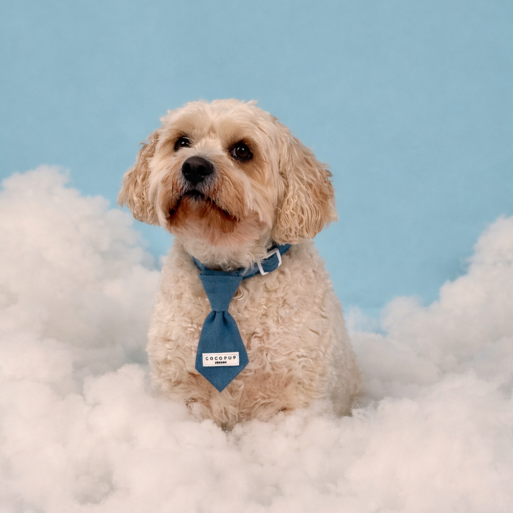 Cloud Nine Dog Tie