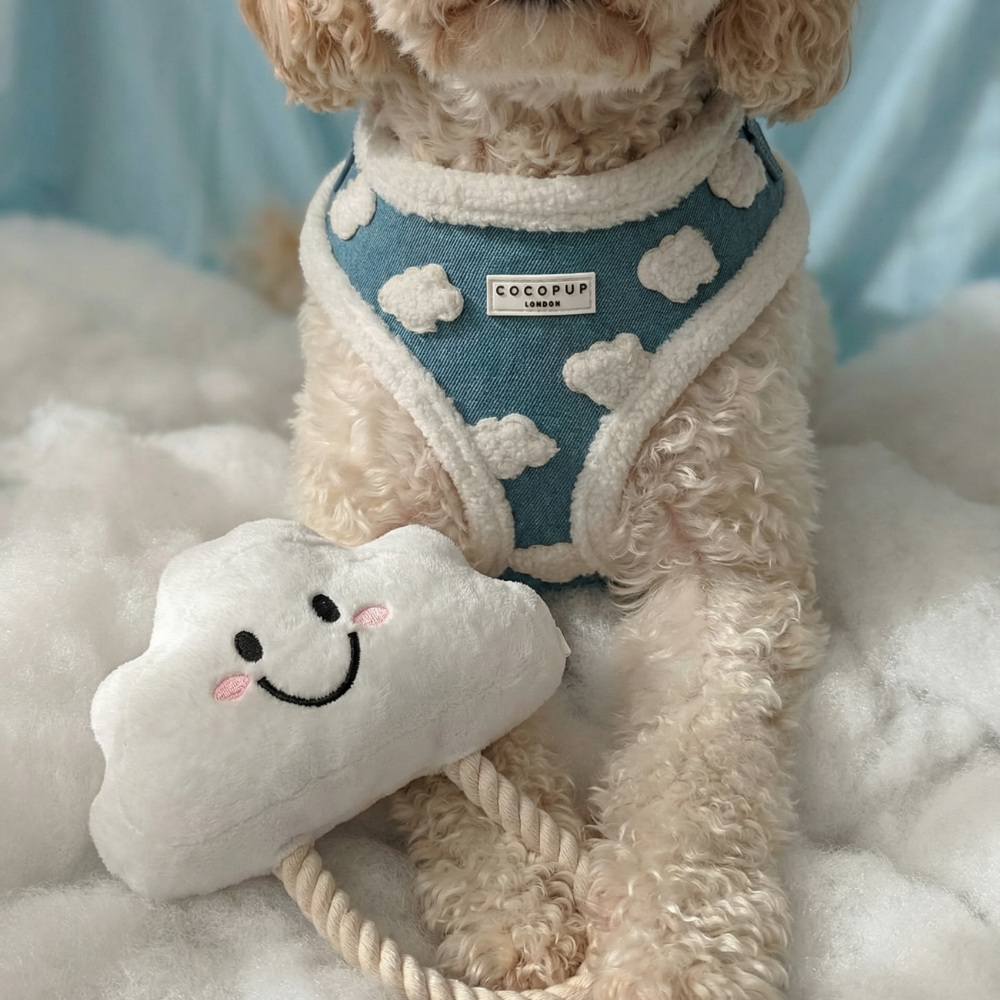 Clemmie the Cloud Dog Toy