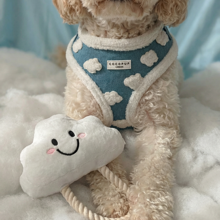 Clemmie the Cloud Dog Toy