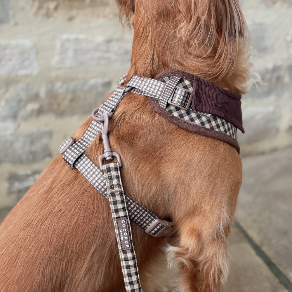 Cotswold Check Lead