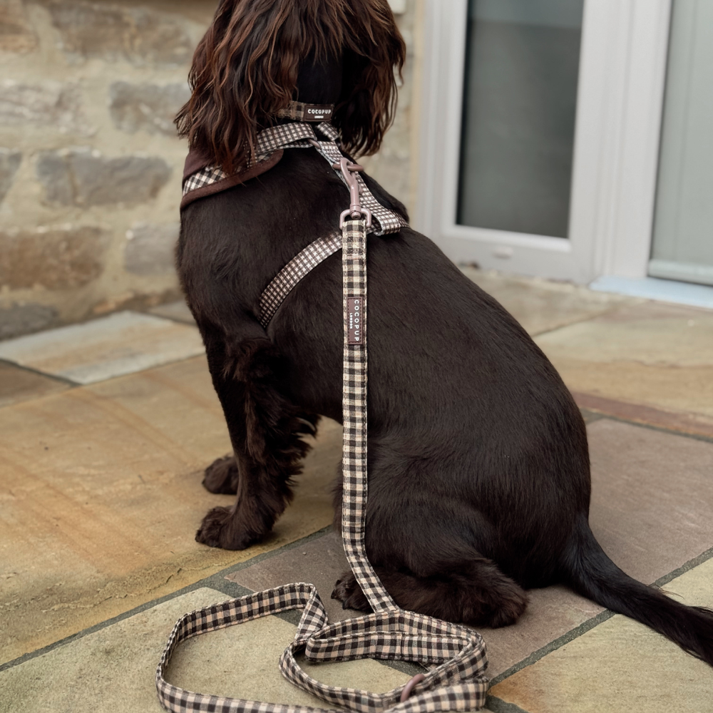Cotswold Check Lead