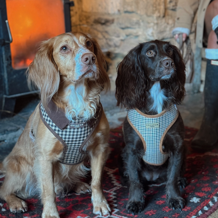 Heritage Check Adjustable Neck HARNESS