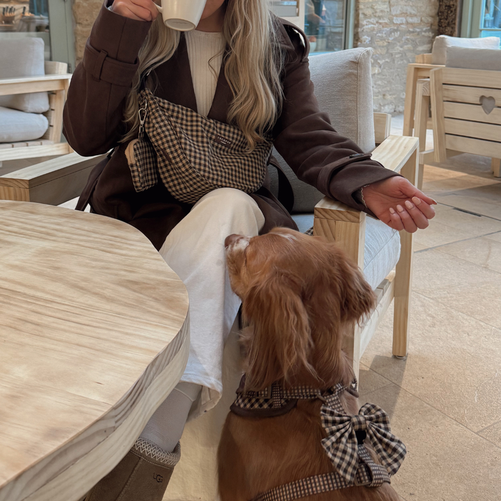 Cotswold Check Sailor Bow Tie