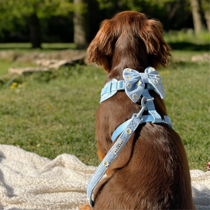 Blue Daisy Dream Sailor Bow Tie