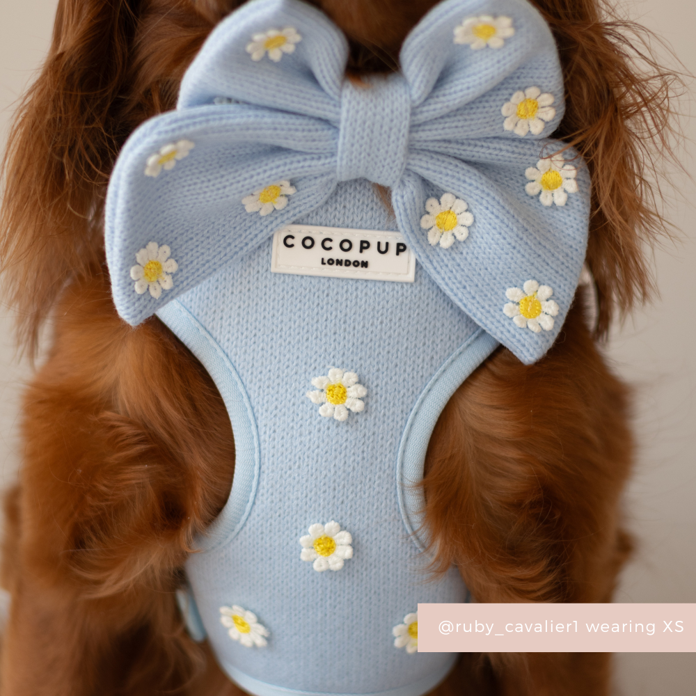 Blue Daisy Dream Adjustable Neck HARNESS