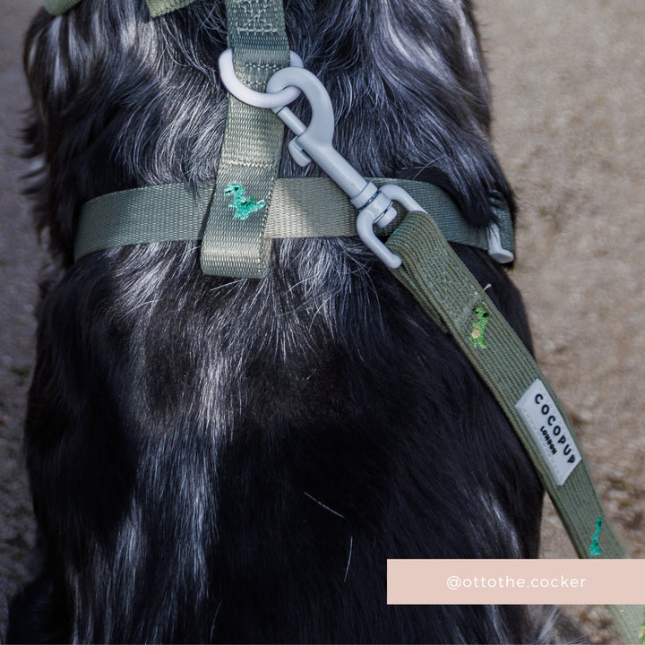 Dino Doodles Adjustable Neck Harness, Lead & Collar Bundle