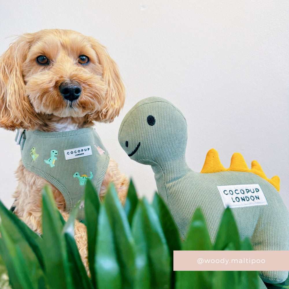 Doodles the Dinosaur Dog Toy