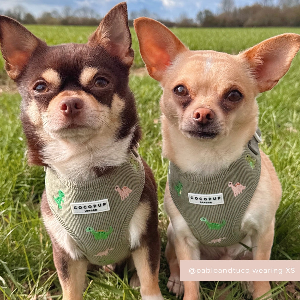 Dino Doodles Adjustable Neck HARNESS