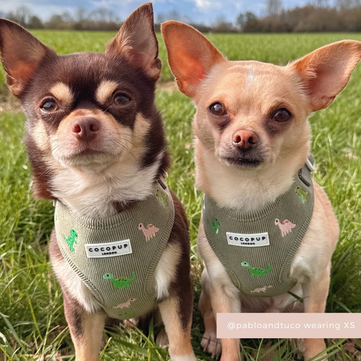 Dino Doodles Adjustable Neck HARNESS