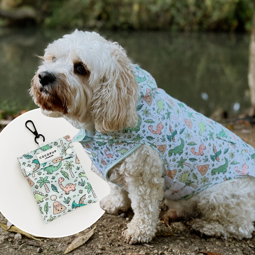 Small white dog outdoors wearing a Cocopup London Dinopaws raincoat with matching patterned pouch next to it.