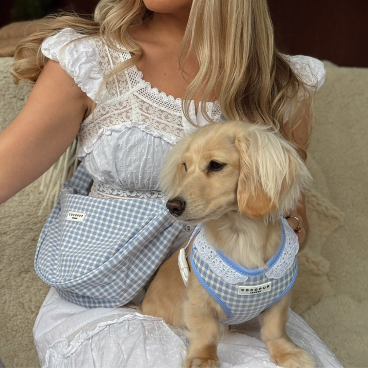 Crossbody Crescent Dog Walking Bag Bundle - English Blue