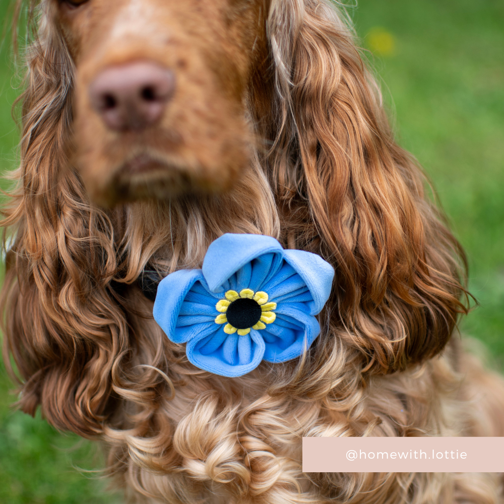 Forget Me Not Collar Flower