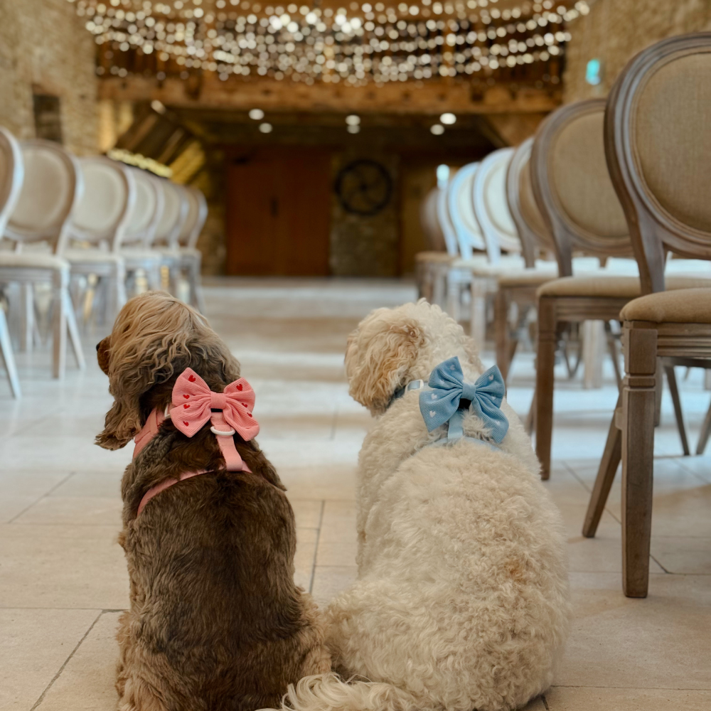Blue Heartstrings Cord Sailor Bow Tie