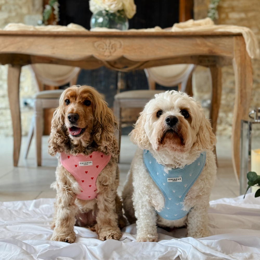 Pink Heartstrings Cord Adjustable Neck HARNESS