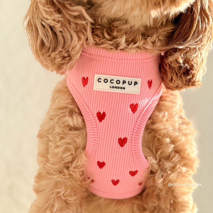 Pink Heartstrings Cord Adjustable Neck HARNESS