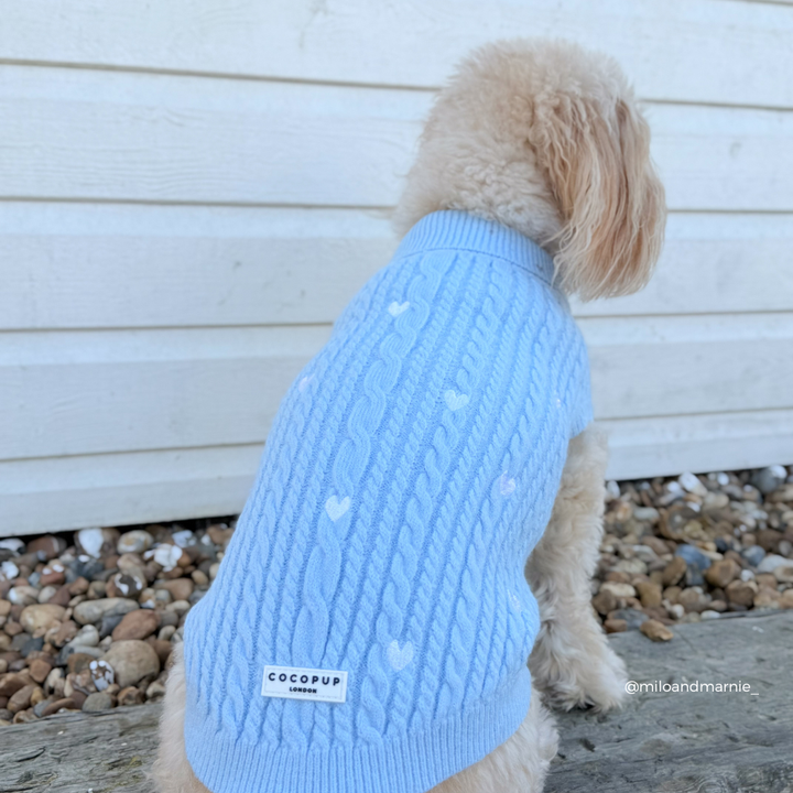 Blue Heartstrings Cord Jumper, Harness & Lead Bundle