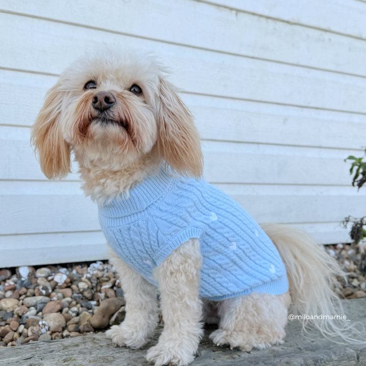 Blue Heartstrings Cord Jumper, Harness & Lead Bundle