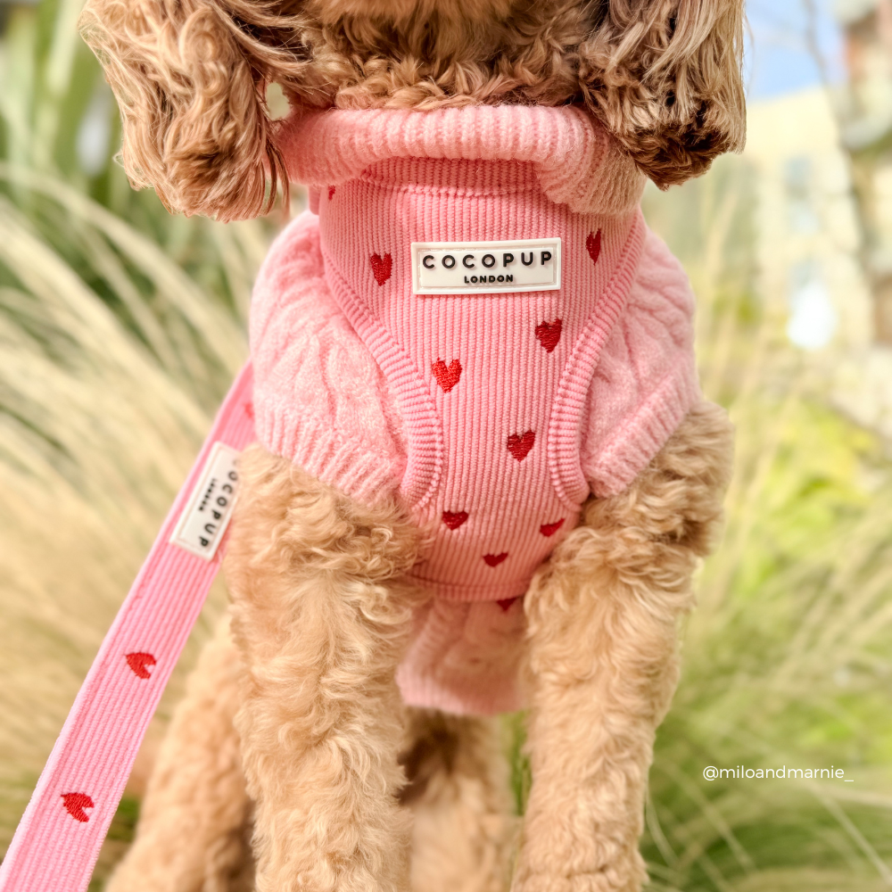 Pink Heartstrings Cord Adjustable Neck HARNESS