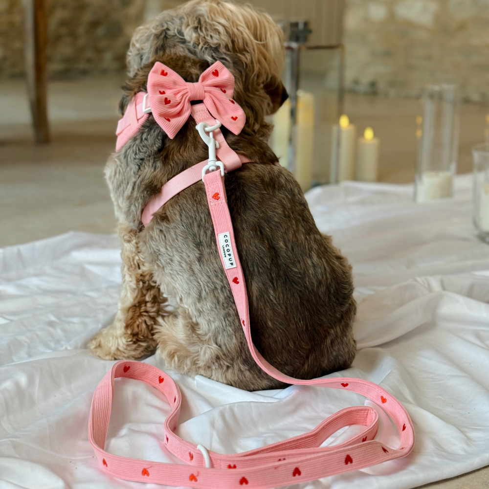 Pink Heartstrings Cord Sailor Bow Tie