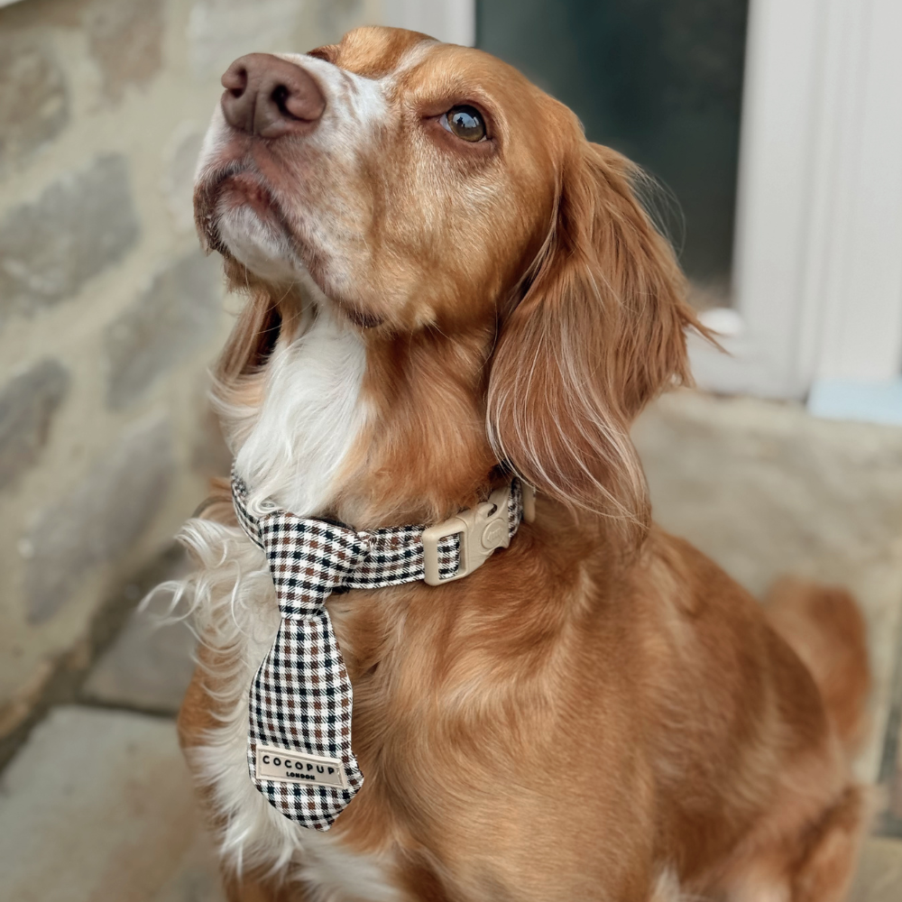 Heritage Check Dog Tie