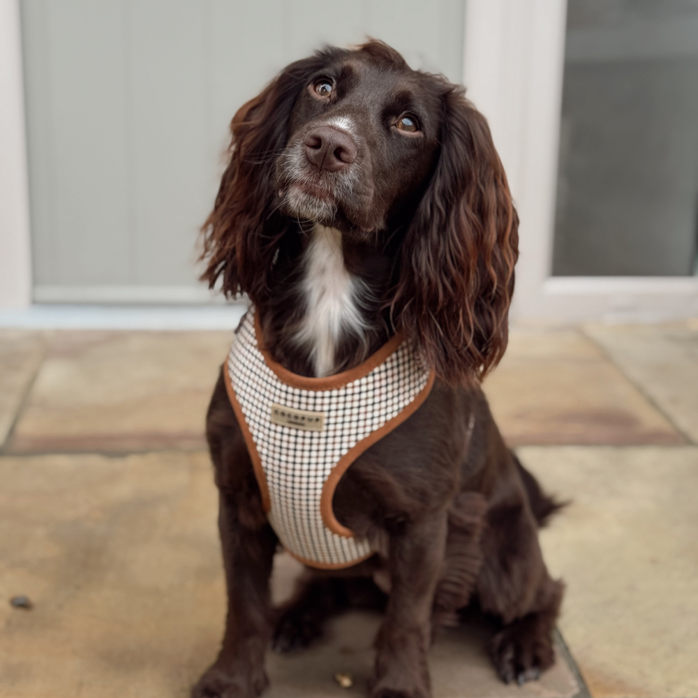 Heritage Check Adjustable Neck HARNESS