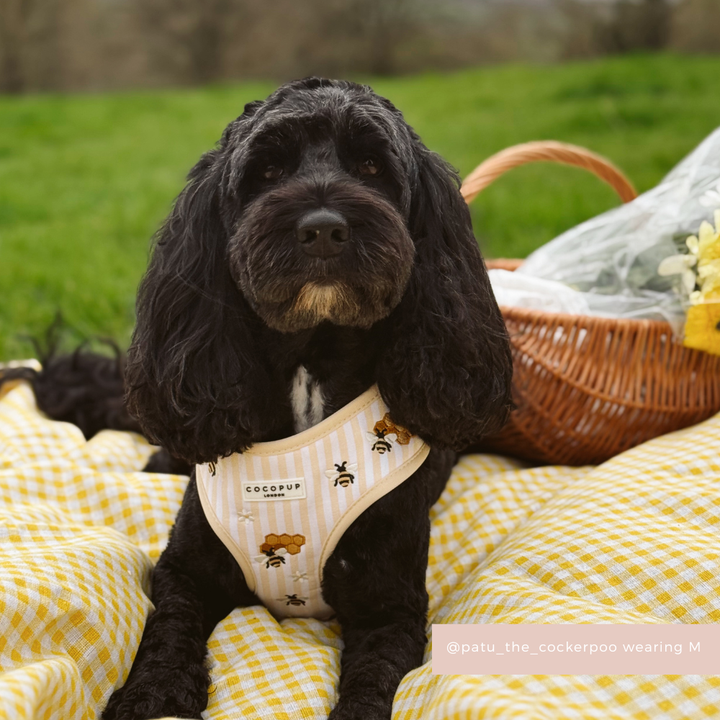 Honey Meadow Adjustable Neck HARNESS
